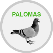 control-palomas.png